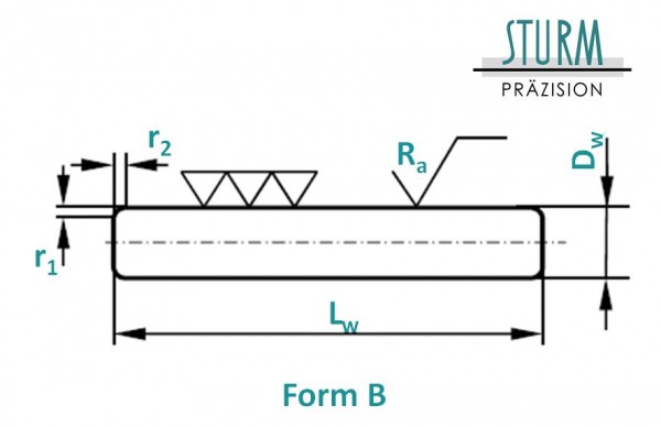 Nadelrolle Ø 2,5x9,8 mm NRB-2,5x9,8-G2 DIN 5402-3, Form B, Grade 2, Werkstoff 100Cr6